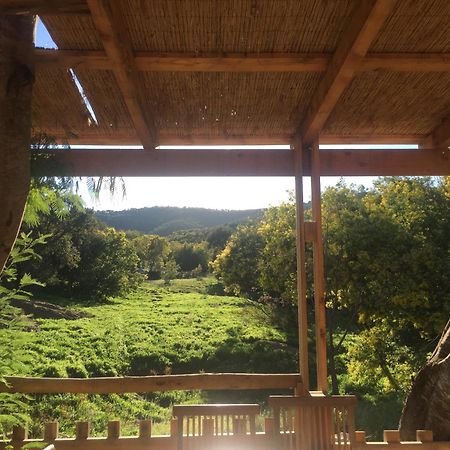Au Paradis Des Campeurs Les Issambres Dış mekan fotoğraf